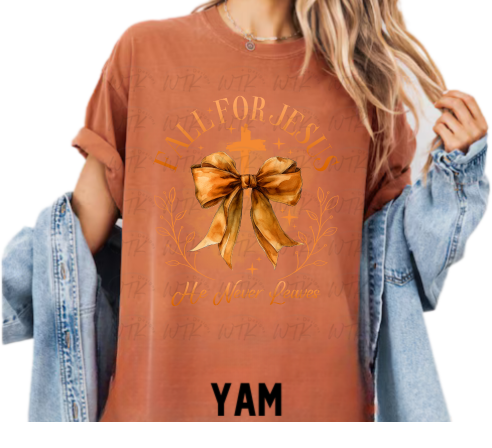 Fall For Jesus He Never Leaves CC Tee