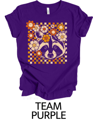 Retro Racoon