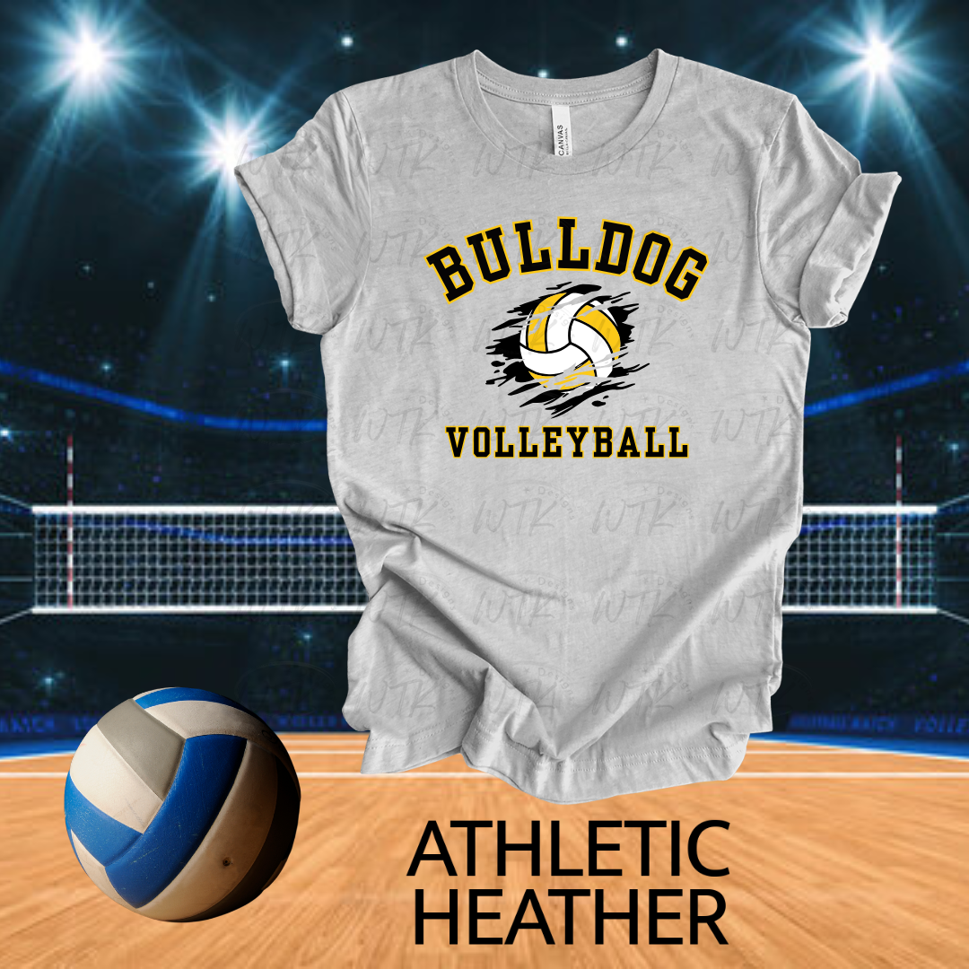 Bulldog Volleyball with distressed ball