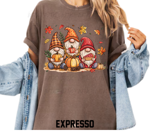 Fall Gnomes With Pumpkins CC Tee