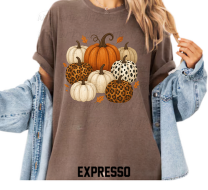 Fall Pumpkins  CC Tee