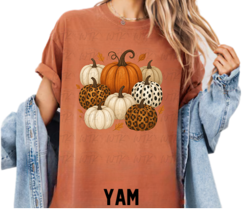 Fall Pumpkins  CC Tee