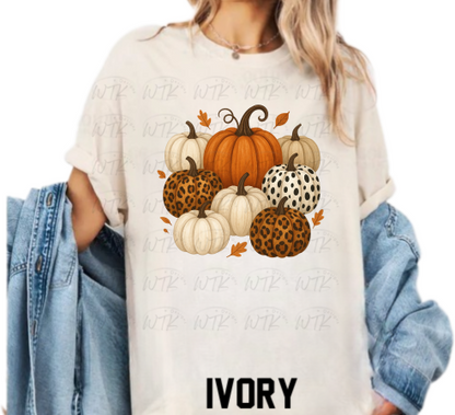 Fall Pumpkins  CC Tee