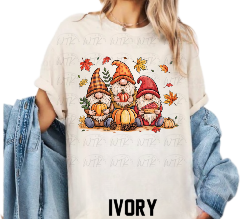Fall Gnomes With Pumpkins CC Tee