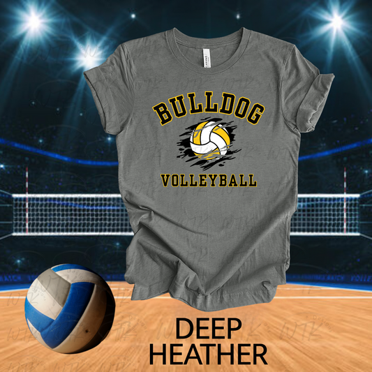 Bulldog Volleyball with distressed ball