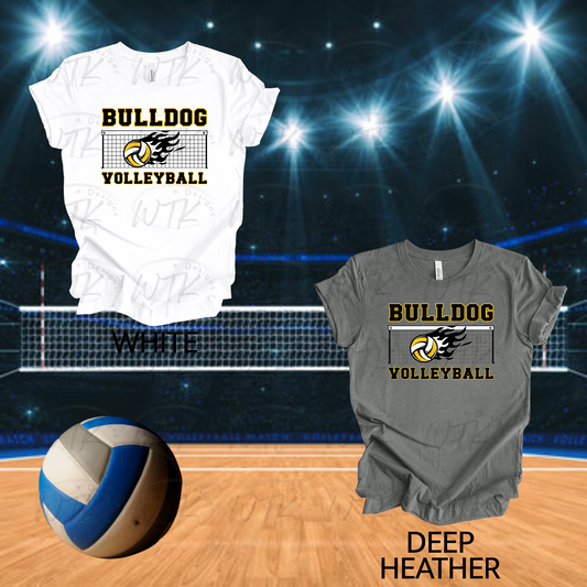 Bulldog Volleyball with Net